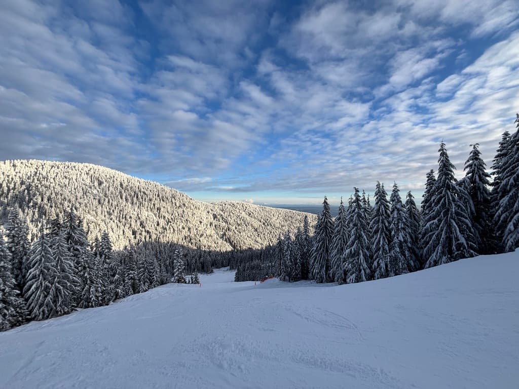 snowboard safari