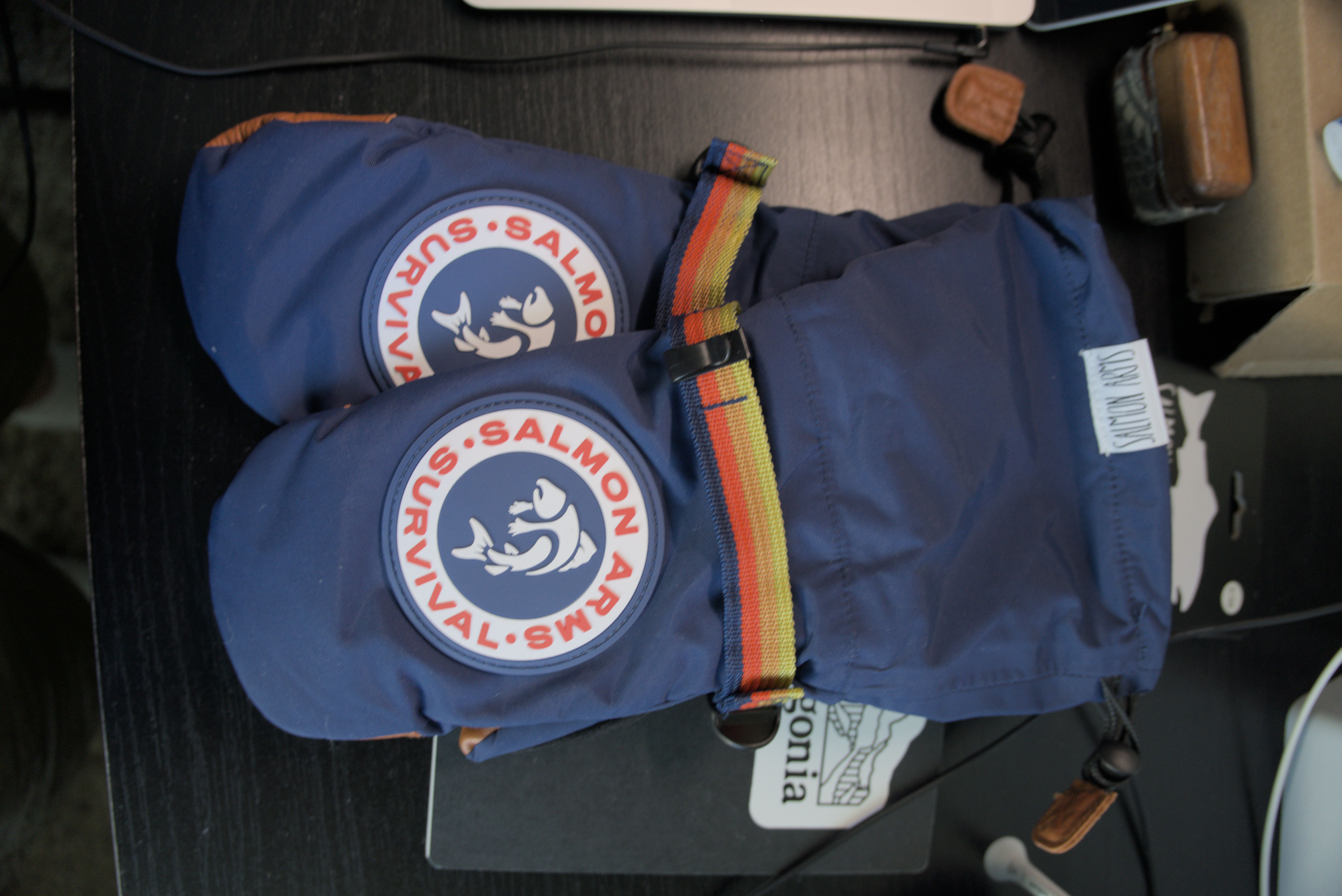 A pair of snowboard gloves
