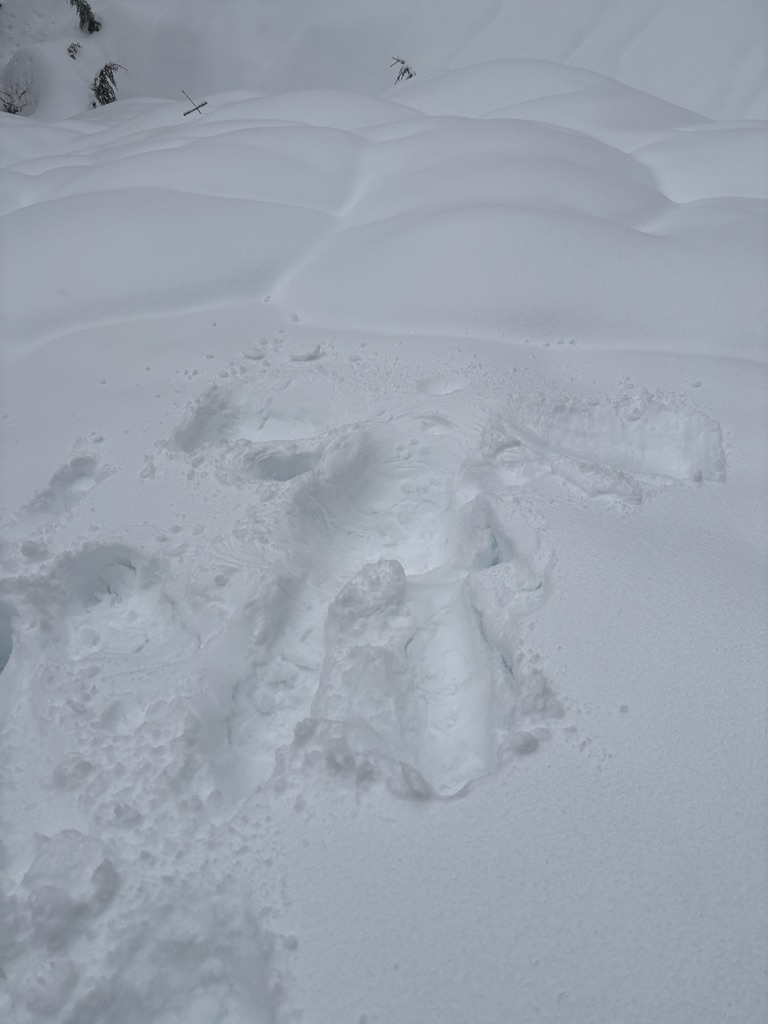 A snow angel